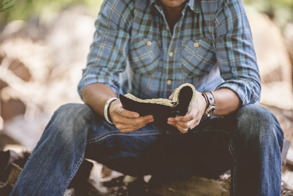 closeup shot male casual clothing reading holy bible blurred background